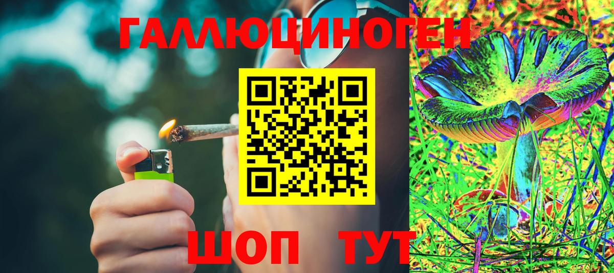 Алексеевка  Псилоцибиновые грибы Psilocybe  Вход с VPN 
